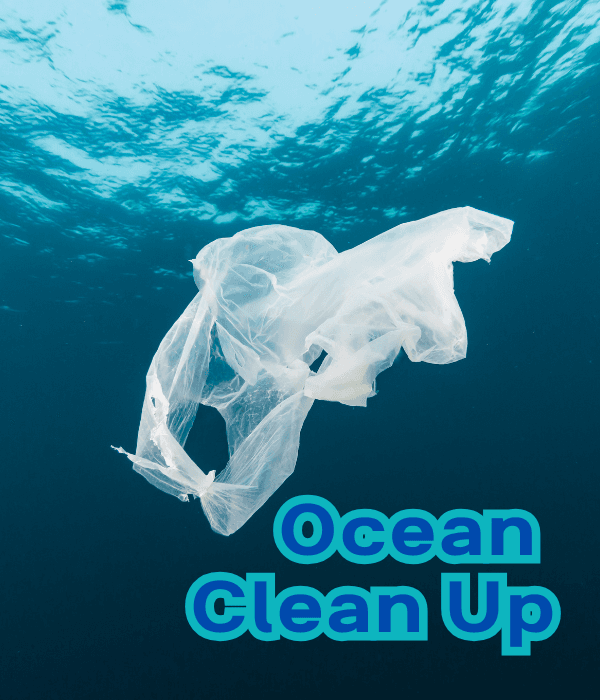🌊 Ocean Cleanup