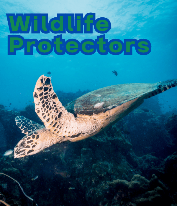 🐯 Wildlife Protectors